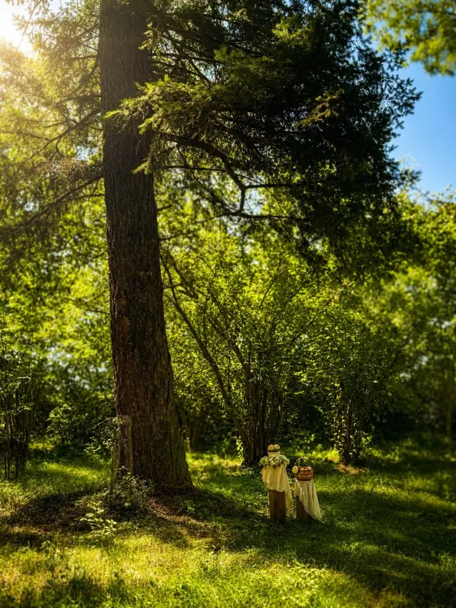 Ruhestätte an einem großen Baum im Seelenpark Brunnsee